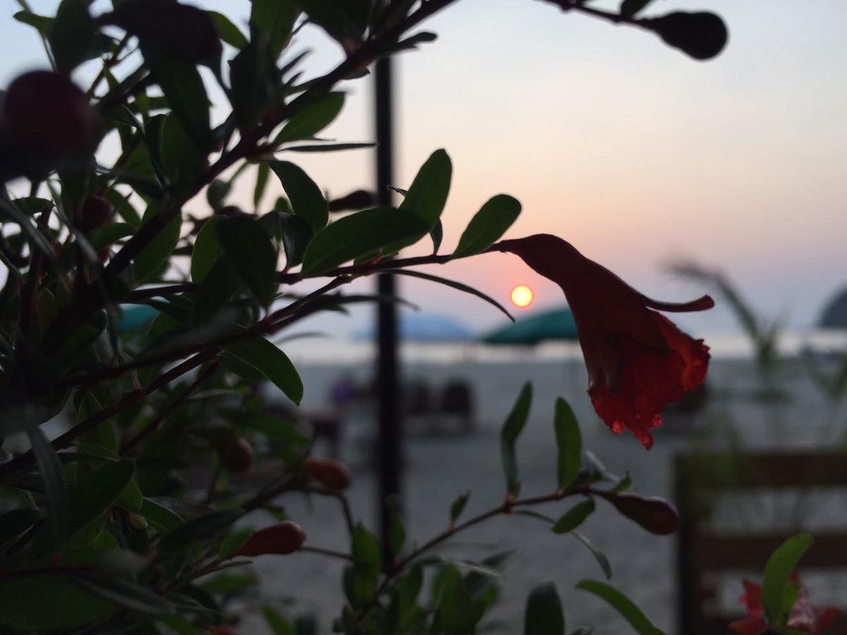 Anantra Sea View Resort Агонда Екстер'єр фото